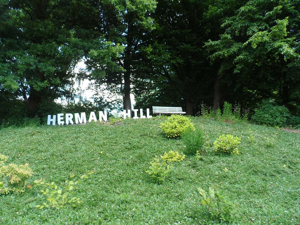 hermanhillW